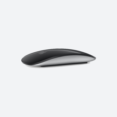 Rental solutions - Black colour apple mouse.